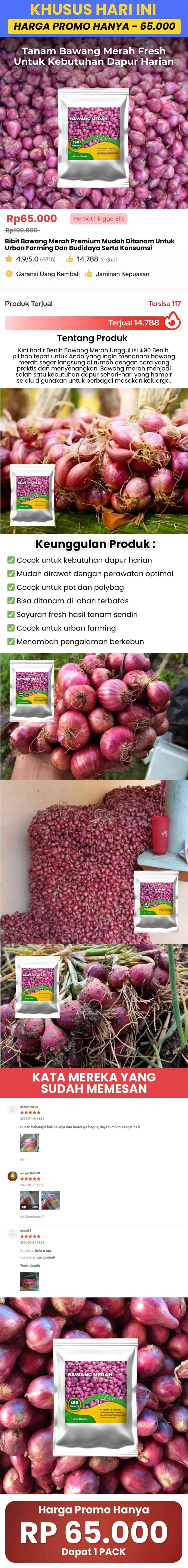 Benih Bawang Merah